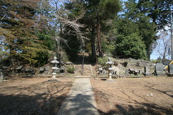 マウスクリックで拡大/縮小します