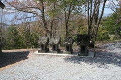 マウスクリックで拡大/縮小します