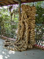 マウスクリックで拡大/縮小します