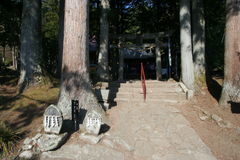 マウスクリックで拡大/縮小します