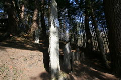 マウスクリックで拡大/縮小します