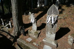 マウスクリックで拡大/縮小します