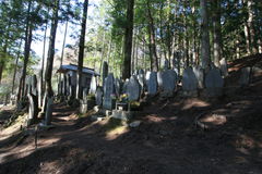 マウスクリックで拡大/縮小します