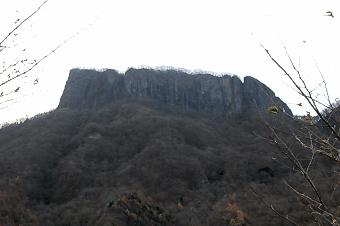 マウスクリックで拡大/縮小します