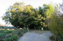 マウスクリックで拡大/縮小します