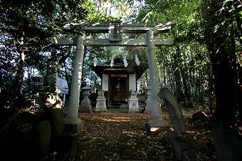 マウスクリックで拡大/縮小します