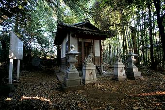 マウスクリックで拡大/縮小します