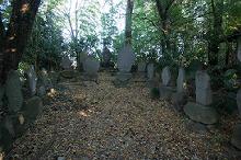 マウスクリックで拡大/縮小します