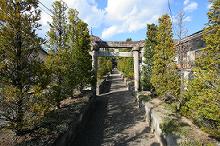 マウスクリックで拡大/縮小します