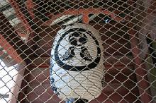 マウスクリックで拡大/縮小します