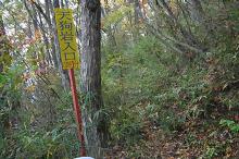 マウスクリックで拡大/縮小します