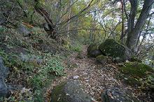 マウスクリックで拡大/縮小します