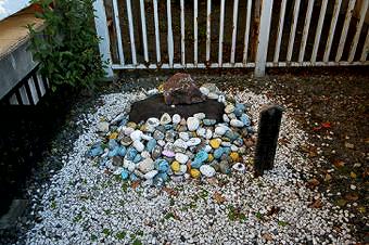 マウスクリックで拡大/縮小します