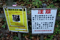 マウスクリックで拡大/縮小します