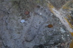 マウスクリックで拡大/縮小します