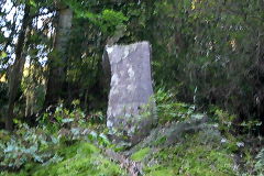 マウスクリックで拡大/縮小します