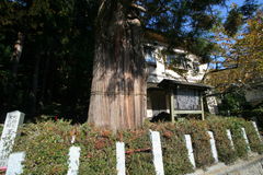 マウスクリックで拡大/縮小します