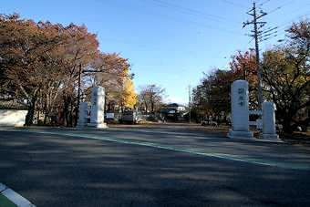 マウスクリックで拡大/縮小します