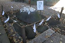 マウスクリックで拡大/縮小します