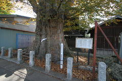 マウスクリックで拡大/縮小します