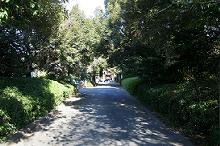 マウスクリックで拡大/縮小します