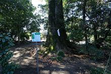 マウスクリックで拡大/縮小します