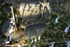 マウスクリックで拡大/縮小します