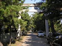 マウスクリックで拡大/縮小します