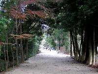 マウスクリックで拡大/縮小します