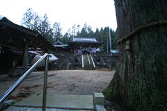 マウスクリックで拡大/縮小します