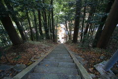 マウスクリックで拡大/縮小します