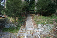 マウスクリックで拡大/縮小します