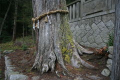 マウスクリックで拡大/縮小します