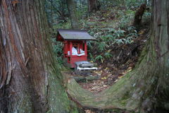 マウスクリックで拡大/縮小します