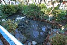 マウスクリックで拡大/縮小します