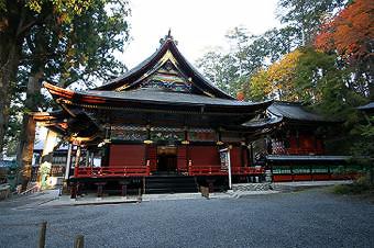 マウスクリックで拡大/縮小します