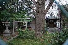 マウスクリックで拡大/縮小します