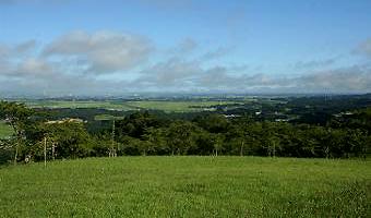 マウスクリックで拡大/縮小します