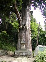 マウスクリックで拡大/縮小します