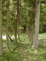 マウスクリックで拡大/縮小します