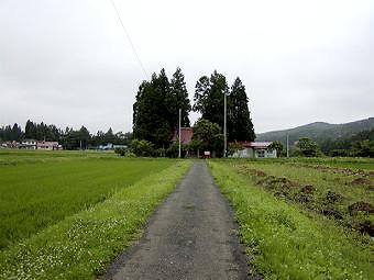 マウスクリックで拡大/縮小します