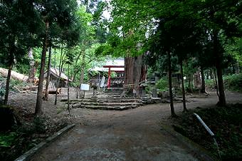 マウスクリックで拡大/縮小します