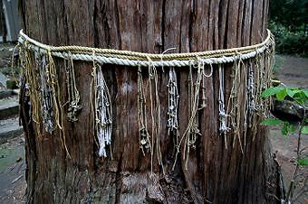 マウスクリックで拡大/縮小します