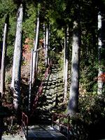 マウスクリックで拡大/縮小します