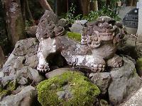 マウスクリックで拡大/縮小します