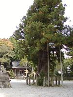 マウスクリックで拡大/縮小します