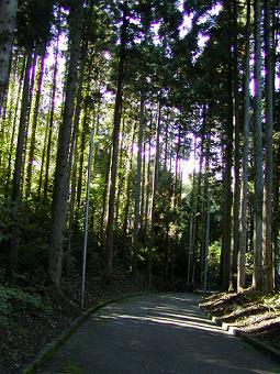 マウスクリックで拡大/縮小します
