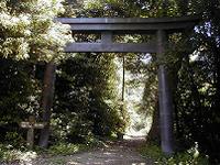 マウスクリックで拡大/縮小します