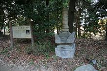 マウスクリックで拡大/縮小します