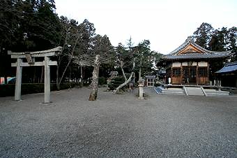 マウスクリックで拡大/縮小します